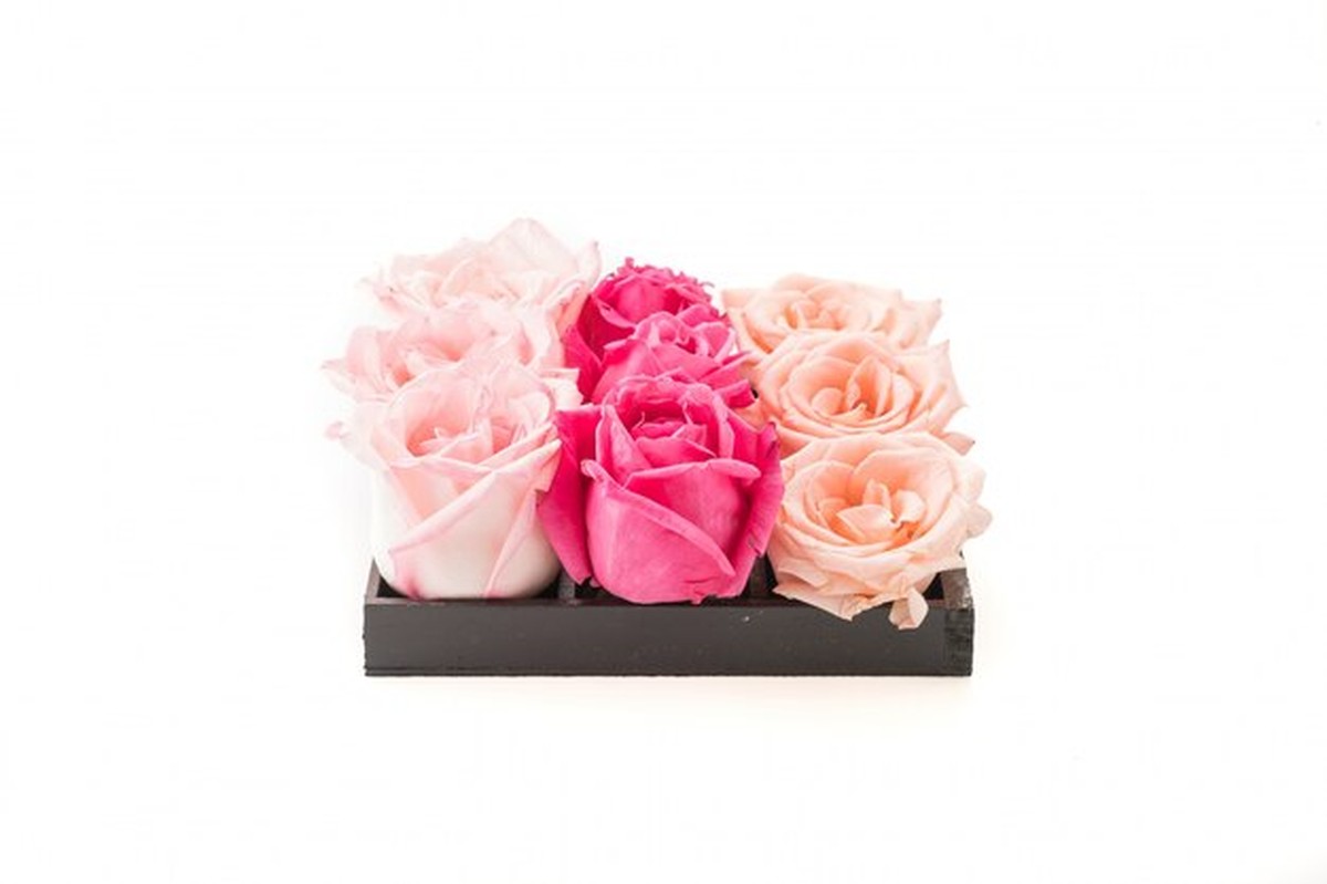 Falešné rostliny v bytě mohou zhoršovat vaši náladu, zjistila studie