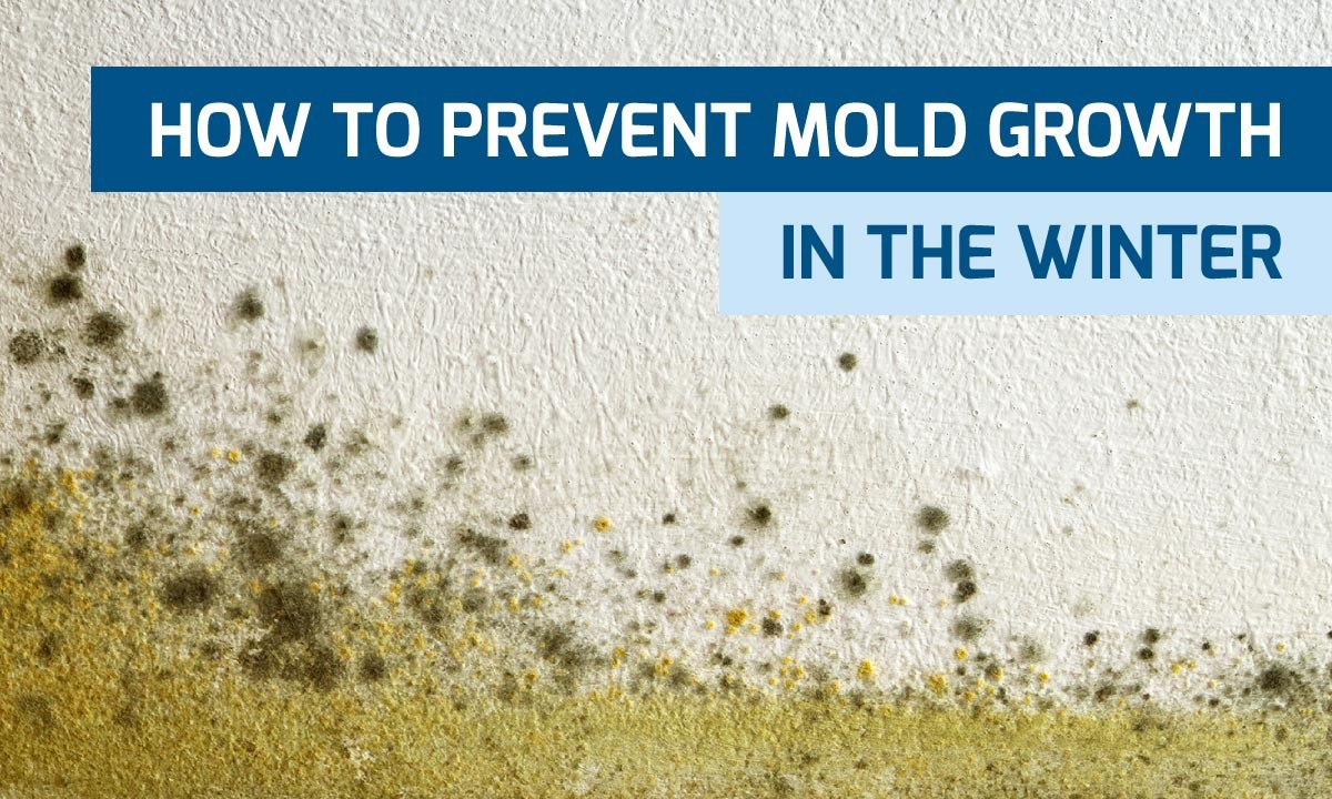 Jak se vyhnout plísním v koupelně během zimy v Česku