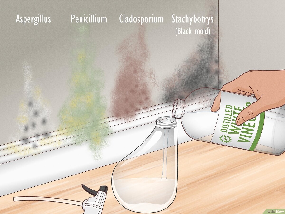 Přestali jsme koupit drahou chemii: promícháme ocet s tímhle a plíseň padá sama