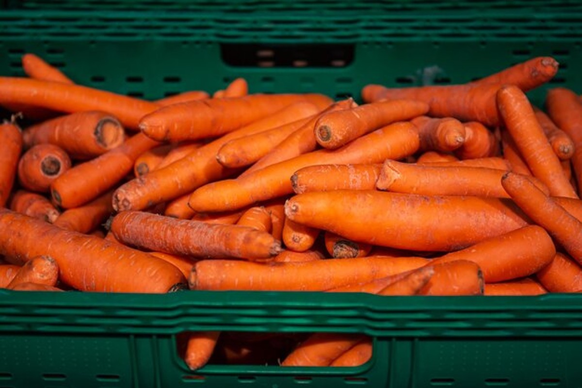 Prostý trik: jak držet mrkev čerstvou tři týdny bez balení