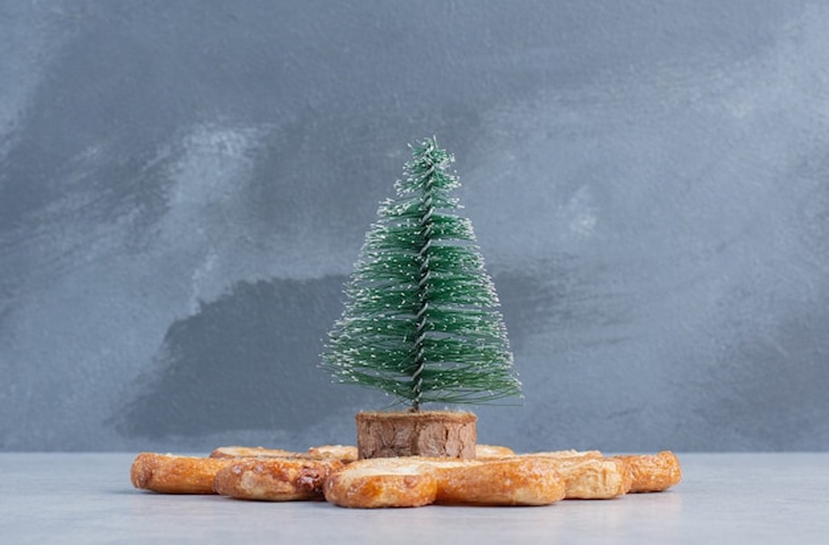 Stromek není jen pod oknem. Feng šuej poradí, kde jej postavit pro štěstí