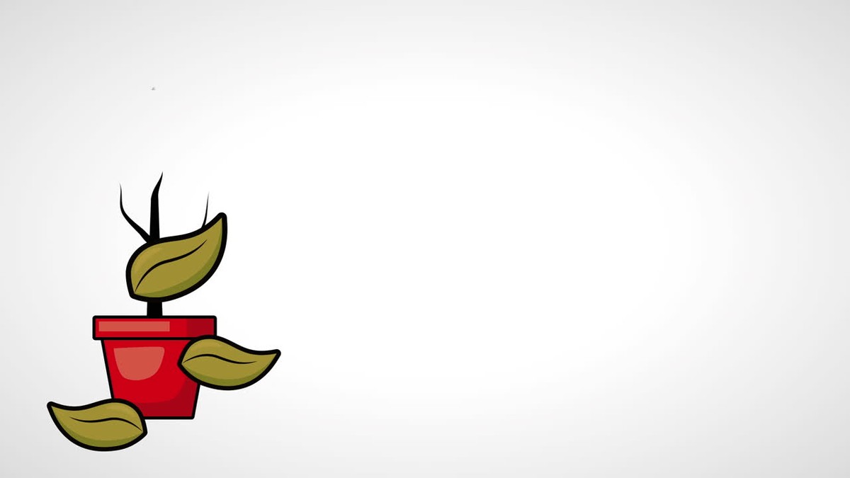 Vaše rostliny umírají? Není to voda, ale tohle