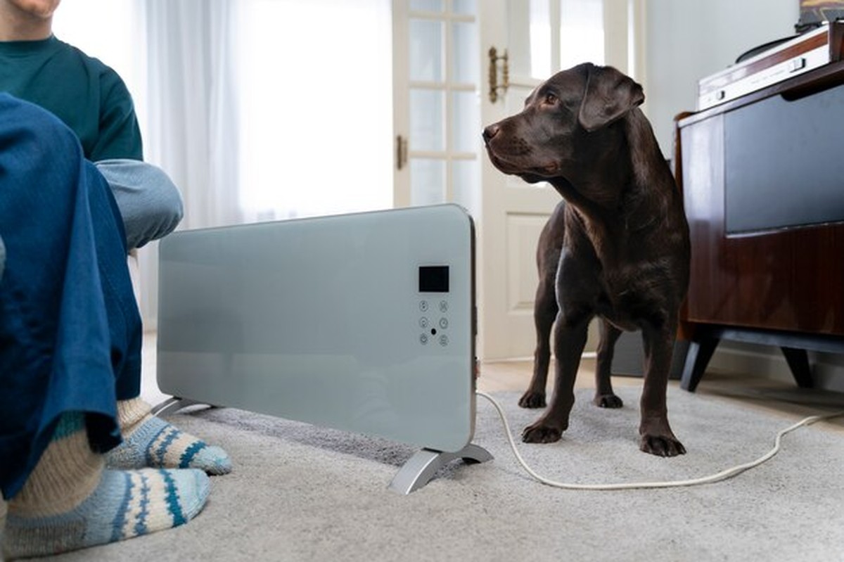 Vytápění v zimě: co dělají majitelé psů a koček špatně