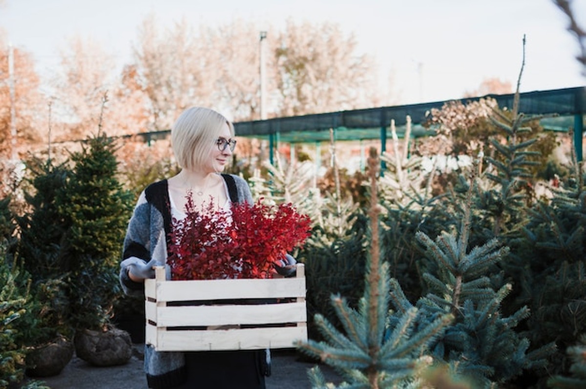 Zahrada v zimě: co by neměli zapomenout lidé přes 40 let