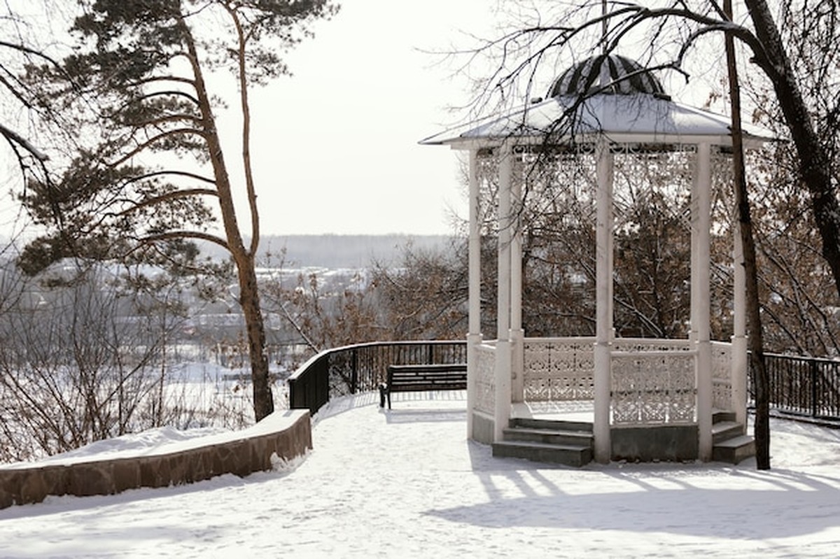 Zahrádka v prosinci – co se ještě dá dělat bez stresu